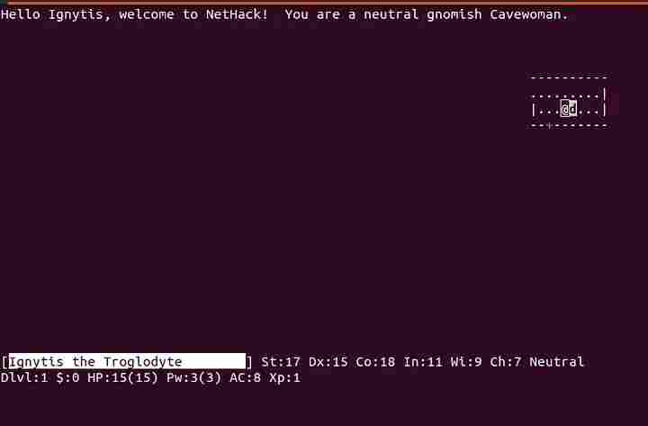 Nethack: an initial game screen